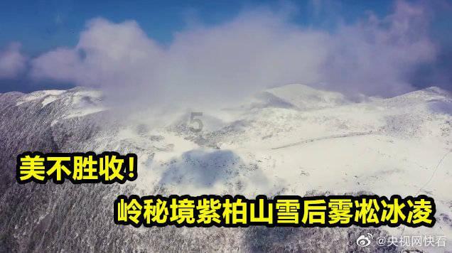 解答你疑问,让为什么星巴克一个杯子那么贵?为您指路!